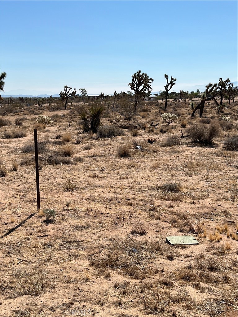 MLS #JT25190838 image #2