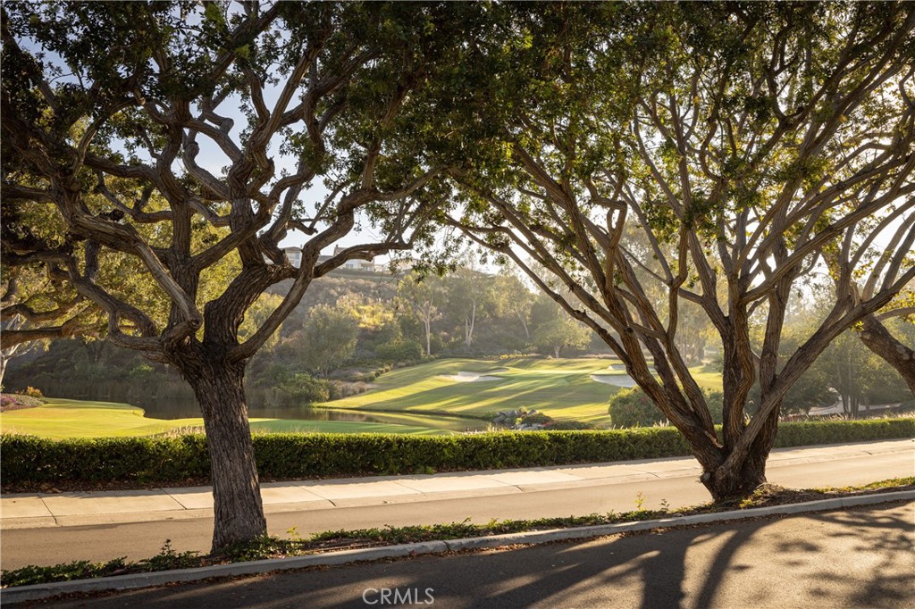 Ab2acca8 611d 43cc B422 92e3e6f6f692