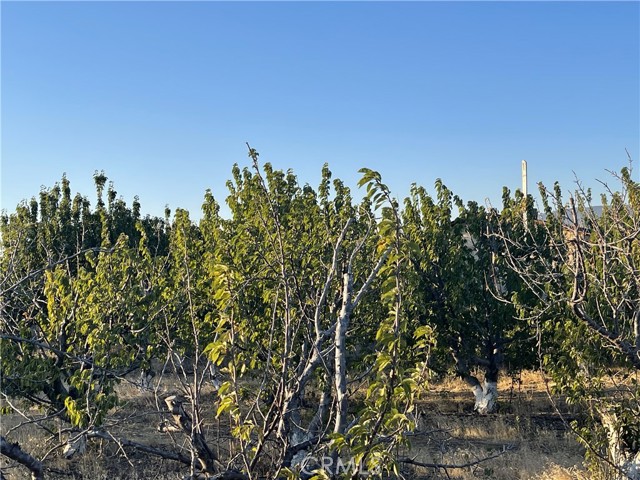 Detail Gallery Image 18 of 19 For 49750 Three Points Rd, Lancaster,  CA 93536 - 3 Beds | 2 Baths