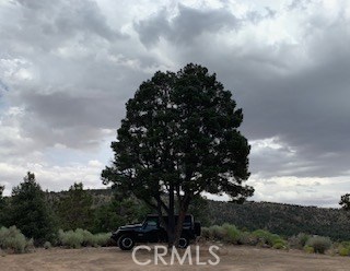 0 Ponderosa, Big Bear City, California 92314, ,Land,For Sale,0 Ponderosa,CROC20150732