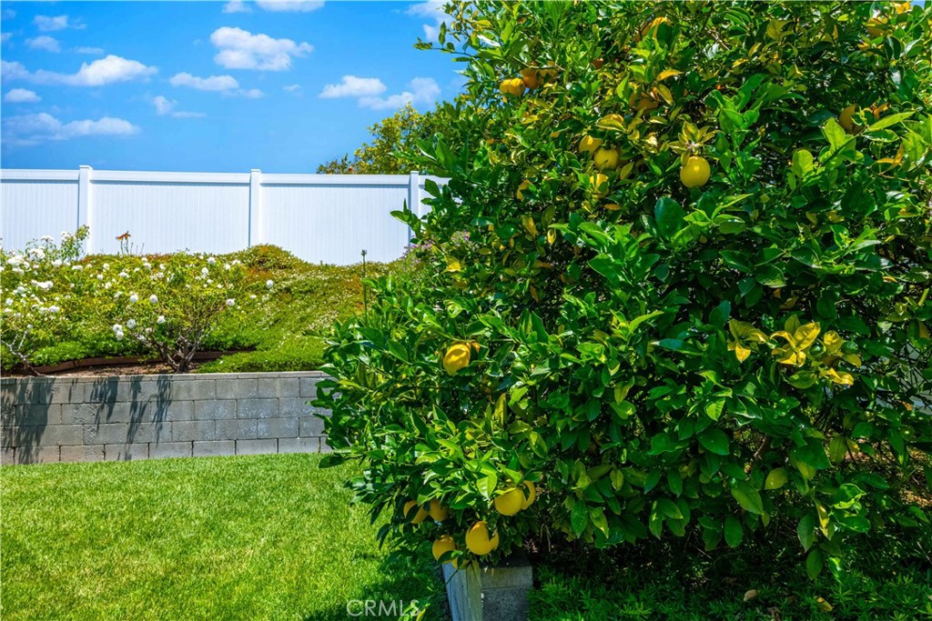 https://media.crmls.org/medias/ab458e0f-1fee-49cb-8df3-3b22d3a54e10.jpg?preset=X-Large