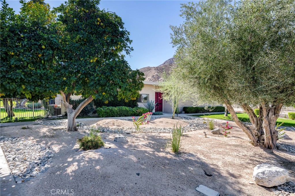 MLS #CV25252967 image #5