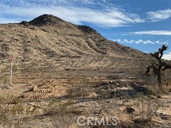 MLS #CV26199794 image #3