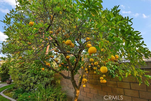 14132 Peral Court, Chino CA: https://media.crmls.org/medias/ab4f8e45-91dc-43ae-a20f-d2d532d767bd.jpg