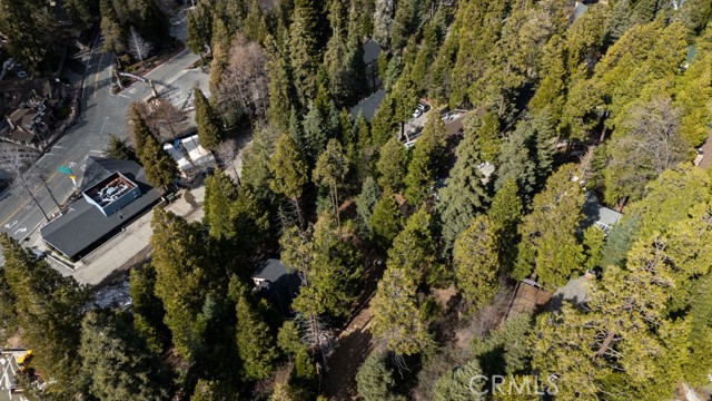 Detail Gallery Image 9 of 19 For 277 Snow Flower Ln, Lake Arrowhead,  CA 92352 - – Beds | – Baths