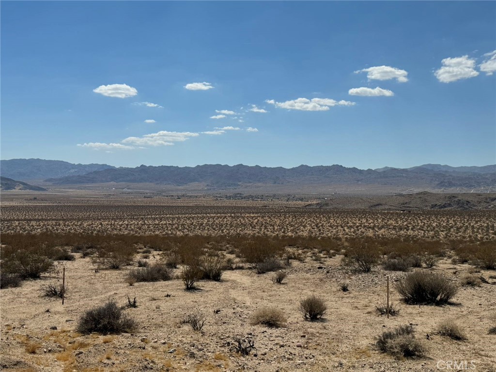 MLS #OC24185296 image #9
