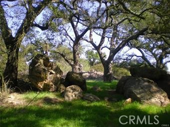 0 Little Sycamore Canyon photo 4