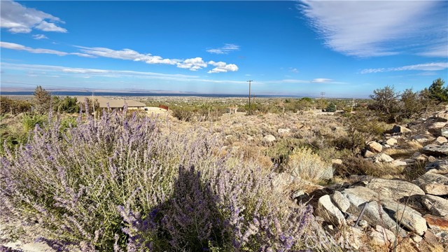 Detail Gallery Image 57 of 68 For 275 Canyon, Pinon Hills,  CA 92371 - 3 Beds | 2/1 Baths