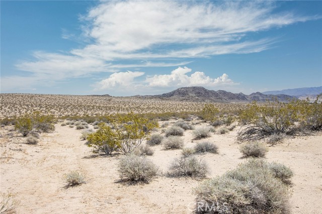 Detail Gallery Image 14 of 17 For 1851 Sunever Rd, Joshua Tree,  CA 92252 - – Beds | – Baths