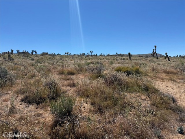 Detail Gallery Image 6 of 12 For 1 Japatul Rd, Apple Valley,  CA 92308 - – Beds | – Baths