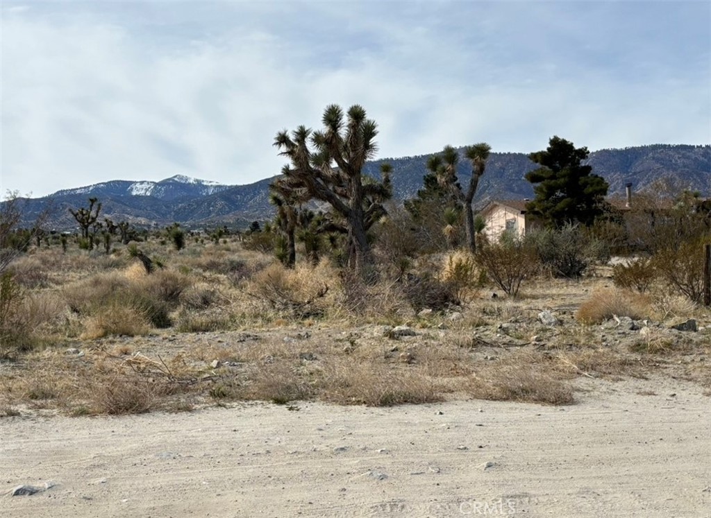 MLS #PW25162799 image #2