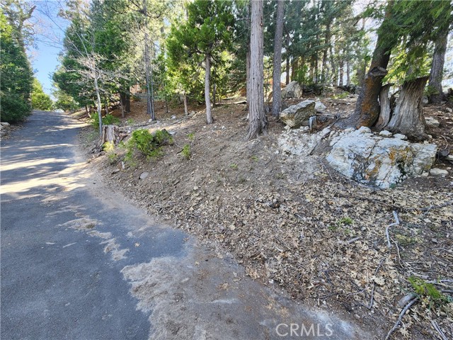 Detail Gallery Image 17 of 20 For 0 Pyramid Dr, Lake Arrowhead,  CA 92352 - – Beds | – Baths