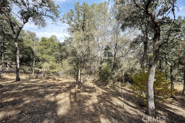 15358 Pacific Street, Clearlake, California 95422, ,Land,For Sale,15358 Pacific Street,CRLC23176279