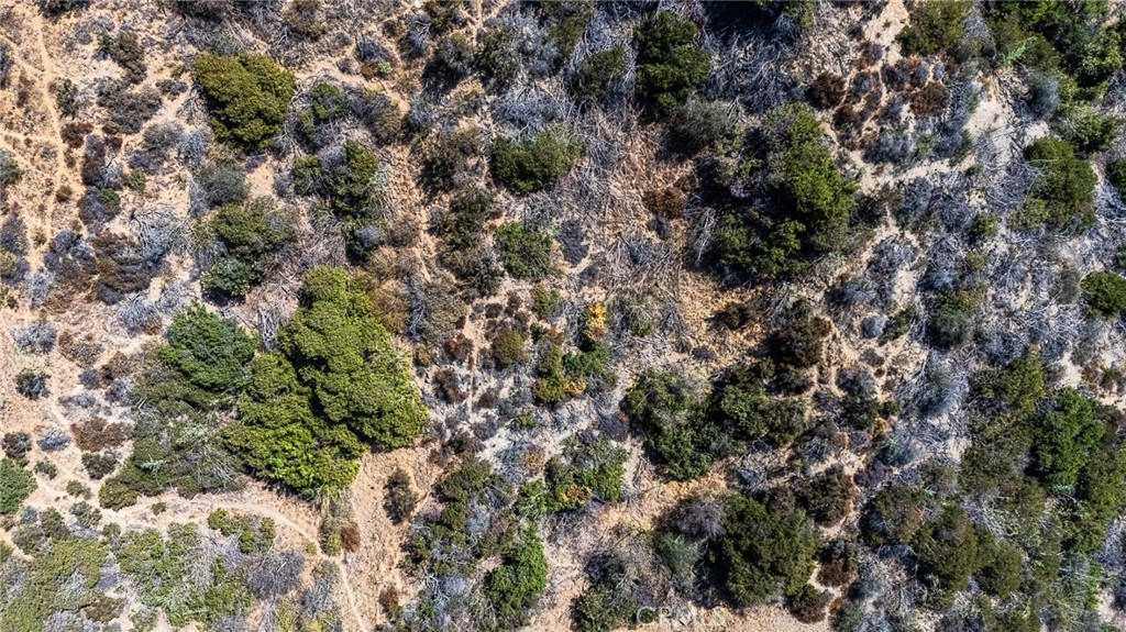 MLS #SB25248942 image #1