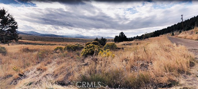 Front Image Thumbnail for CRND25261614