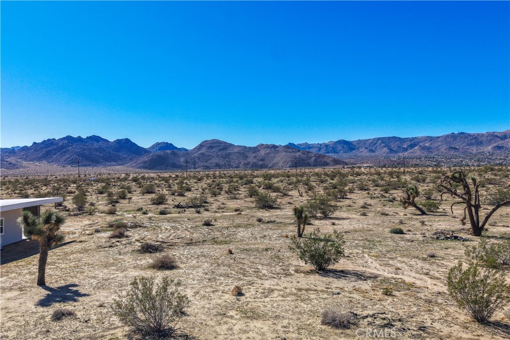 MLS #JT25246842 image #7