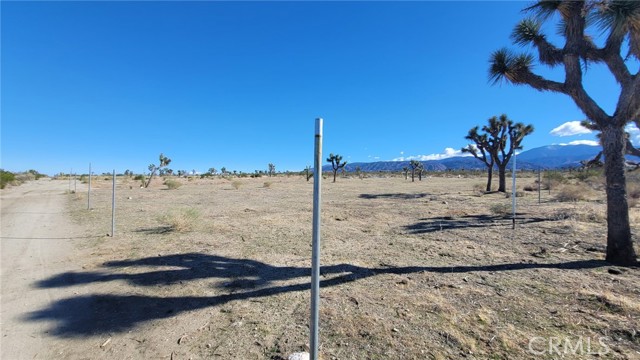 Front Image Thumbnail for CRSR26232570
