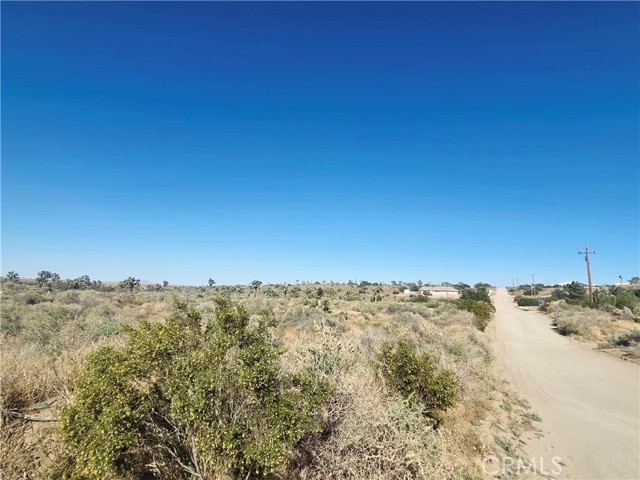 Front Image Thumbnail for CRDW26076067