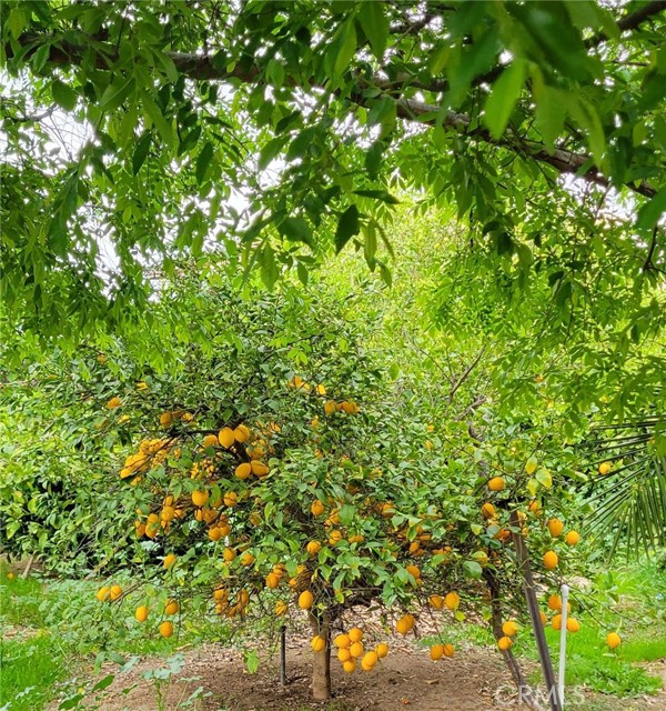 Detail Gallery Image 3 of 8 For 16638 Shuning Ct, Moreno Valley,  CA 92551 - 4 Beds | 3 Baths