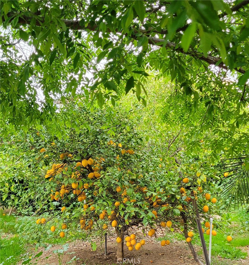 https://media.crmls.org/medias/ab8b46d6-3281-49c2-bf6c-22b871c24ce5.jpg?preset=X-Large
