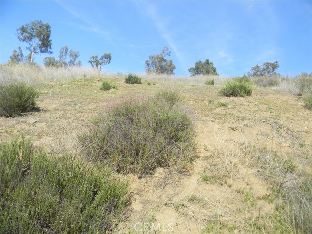 Front Image Thumbnail for CRSW26071077