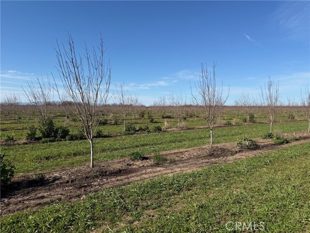 0 Cana Highway, Chico CA: https://media.crmls.org/medias/ab9121f5-481d-4449-874a-4b448005ad38.jpg