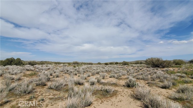 Detail Gallery Image 17 of 31 For 0 123rd St East Near Ave X8, –,  CA 93553 - – Beds | – Baths