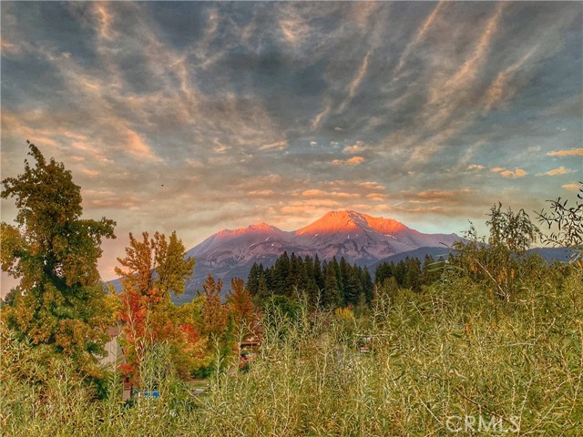 Detail Gallery Image 53 of 54 For 2101 Davis Place Rd, Mount Shasta,  CA 96067 - 4 Beds | 2/1 Baths