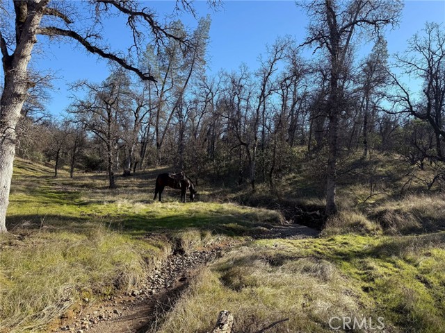 Detail Gallery Image 72 of 74 For 18020 Benson Rd, Cottonwood,  CA 96022 - 3 Beds | 3 Baths