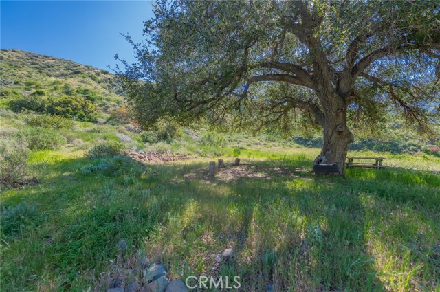 Image 22 of 35 For 28741 Williams Canyon Rd.