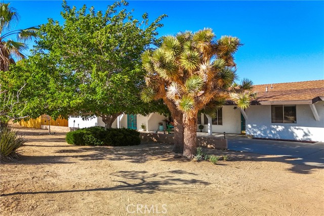 Detail Gallery Image 41 of 75 For 4191 Balsa Ave, Yucca Valley,  CA 92284 - 3 Beds | 3 Baths