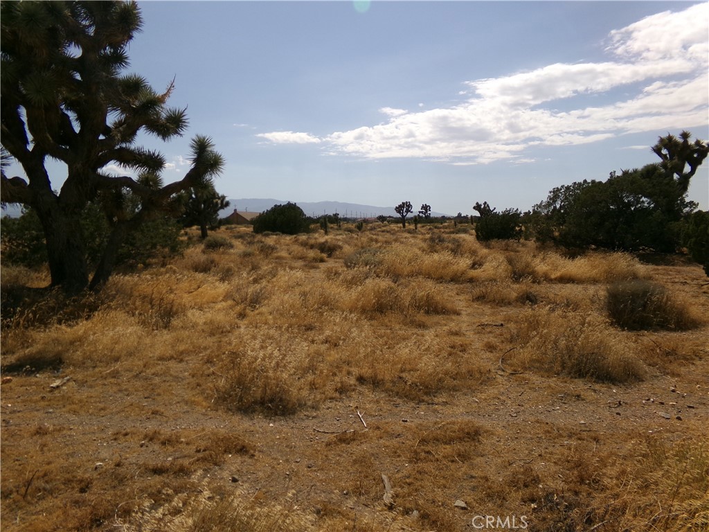 MLS #HD26160181 image #6