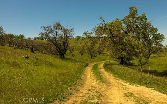 0 Geneseo Road, Paso Robles, California 93446, ,Land,For Sale,0 Geneseo Road,CRNS22102483