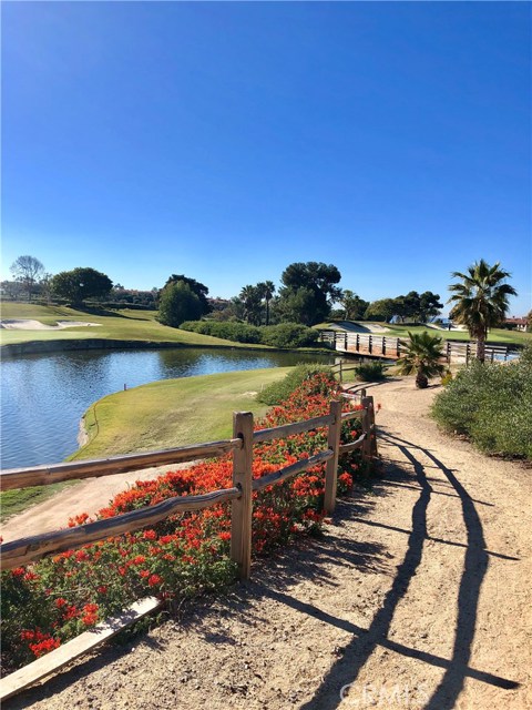Walking trail and paths through Monarch links golf course and directly to Salt Creek Beach access and Ritz Carlton!