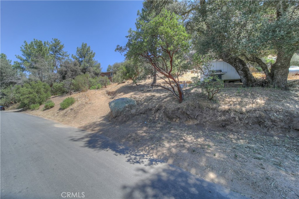 0 Pine Boulevard