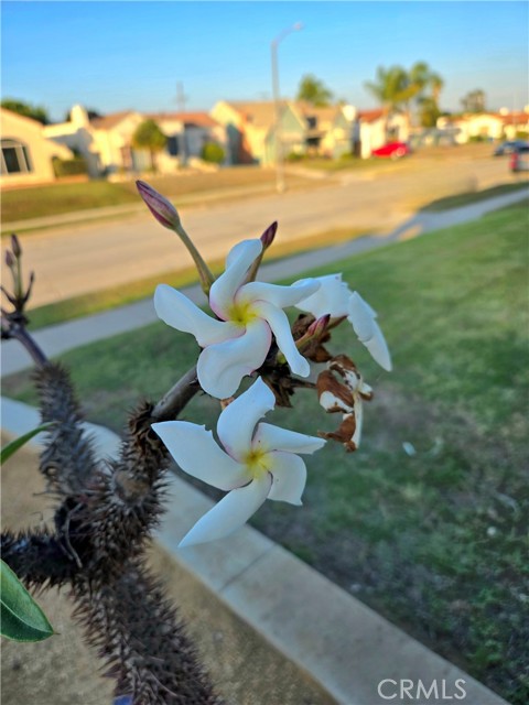 Detail Gallery Image 6 of 41 For 2022 W 75th St, Los Angeles,  CA 90047 - 2 Beds | 1 Baths