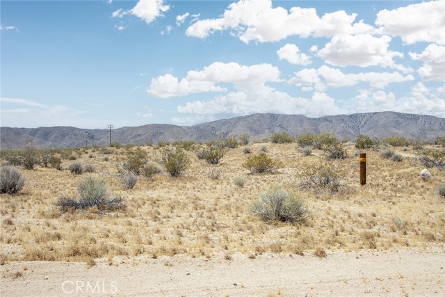 Detail Gallery Image 3 of 20 For 49000 Manzanita Dr, Johnson Valley,  CA 92285 - – Beds | – Baths