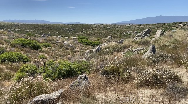 Detail Gallery Image 3 of 5 For 0 Ginter-571-210-015, Sage,  CA 92544 - – Beds | – Baths