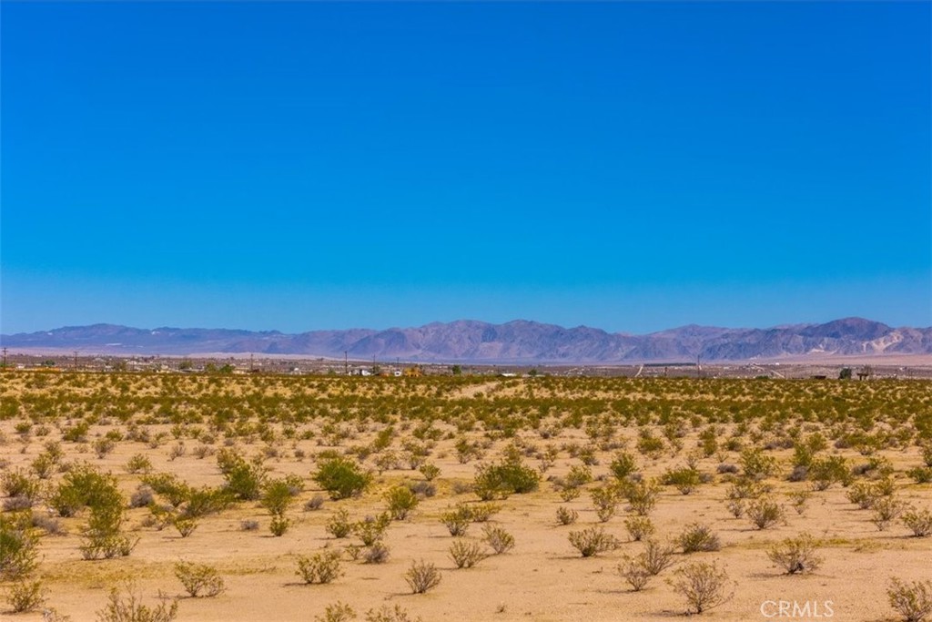 MLS #JT25225678 image #21