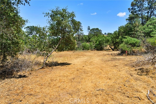 0 Sentinel, Coarsegold, CA, 93614 0 Sentinel, Coarsegold, CA, 93614