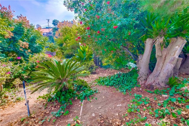 2570 Colt Road, Rancho Palos Verdes, California 90275, 3 Bedrooms Bedrooms, ,2 BathroomsBathrooms,Residential,For Sale,Colt,SB25021154