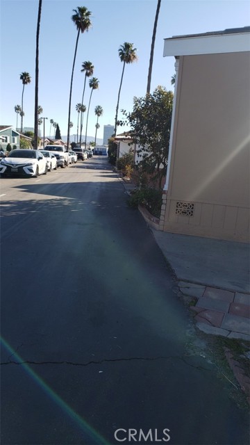 Photo 35
