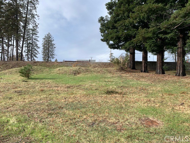 0 Skyway, Paradise CA: https://media.crmls.org/medias/abd6c3a4-f09c-4ca5-934d-40539affccba.jpg
