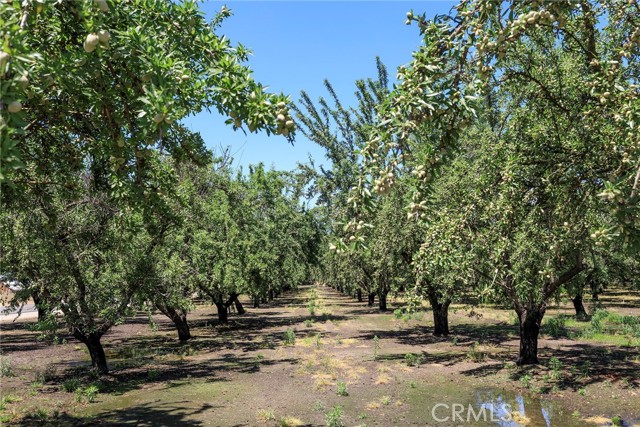 Detail Gallery Image 58 of 66 For 4374 4270 Sultana Ave, Atwater,  CA 95301 - 3 Beds | 2 Baths