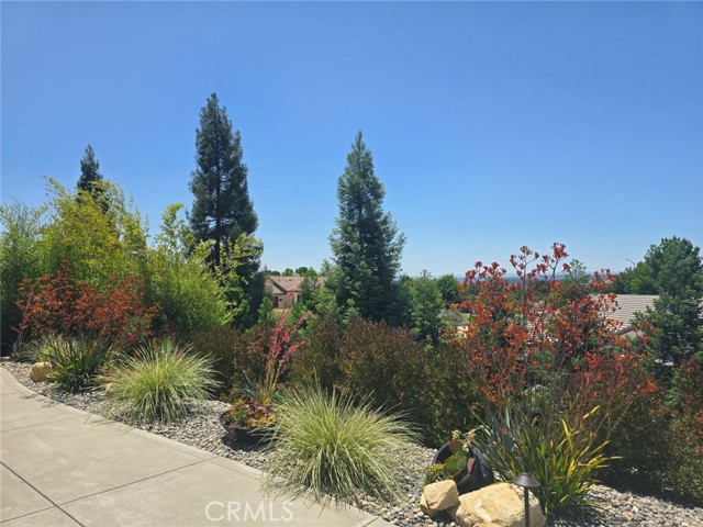 1613 Via Flora, Paso Robles CA: https://media.crmls.org/medias/abdf8199-ac39-4b43-974c-dbe5e67503e7.jpg