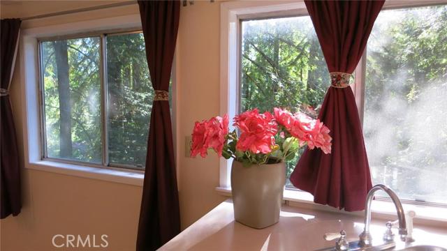 21455 Delta Way, Monte Rio CA: https://media.crmls.org/medias/abe0e4d5-3b28-470d-9d08-4573032cc187.jpg