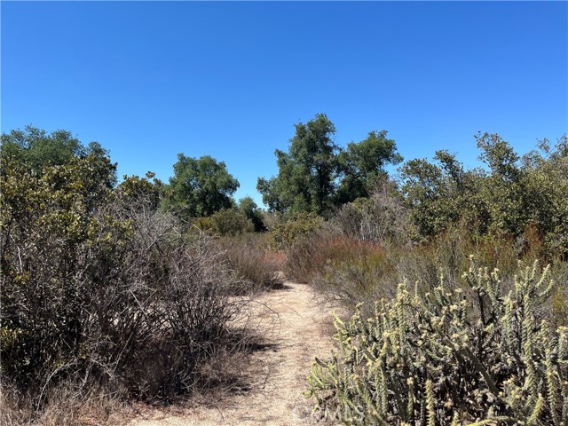 Detail Gallery Image 17 of 26 For 35010 Willow Creek Rd., Hemet,  CA 92544 - – Beds | – Baths