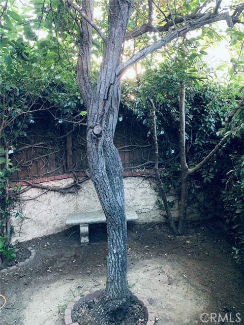 5246 Calderon Road, Woodland Hills CA: https://media.crmls.org/medias/abfb87e6-c5ac-42b2-a677-84588237d80a.jpg