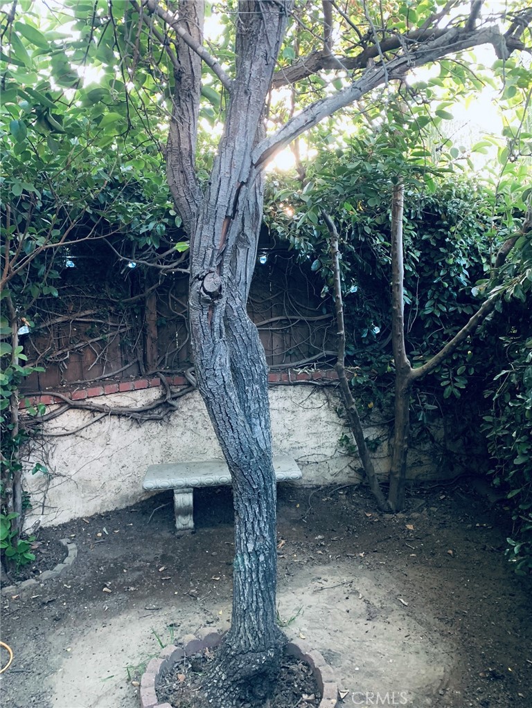 https://media.crmls.org/medias/abfb87e6-c5ac-42b2-a677-84588237d80a.jpg?preset=X-Large
