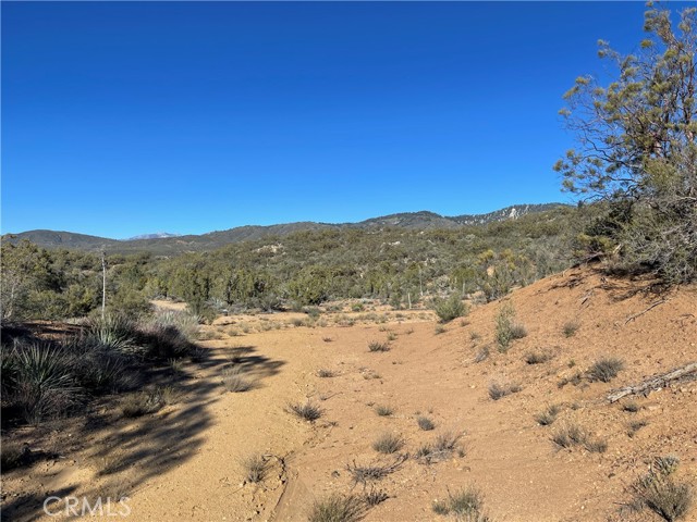 20 Comanche Trail, Anza, California 92539, ,Land,For Sale,20 Comanche Trail,CRSW22245603